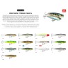 Artificiale Topwater Wtd Rapala Precision Xtreme Pencil