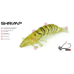 Molix Shrimp
