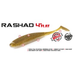 Molix RA Shad 4" FLAT